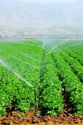 Farming Irrigation