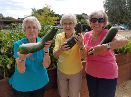 Residents grow vegetables and flowers in the raised garden boxes.