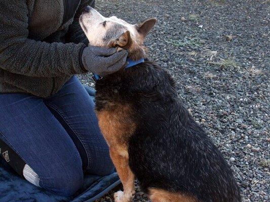 Forget Me Not Animal Shelter of Ferry County