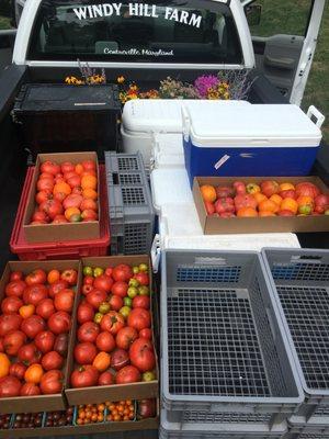 Loaded up with heirloom tomatoes for delivery