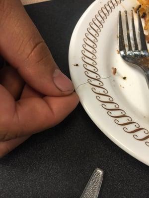 NASTY PUBIC HAIR IN FOOD!!