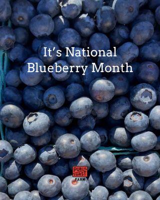 July is National Blueberry Month