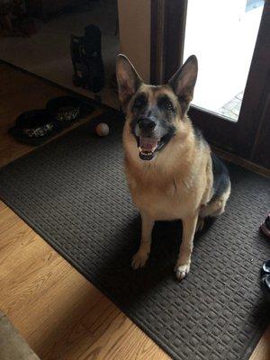 Reese is a happy healthy pup because of Tammy and her wonderful clinic.