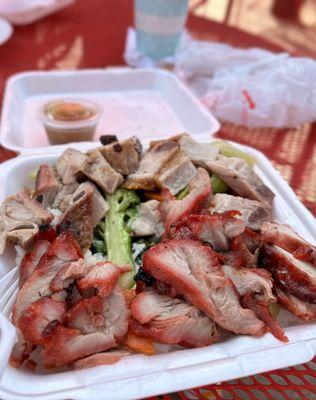 Two meat platter with veggie. Yum!