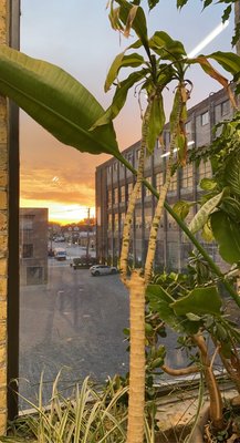 Sunset into studio window