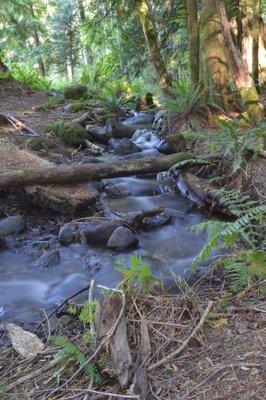 A Pretty Stream.