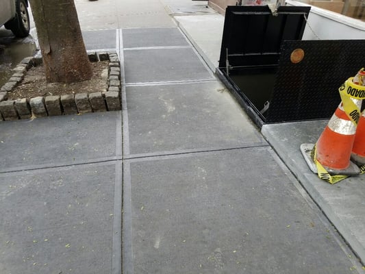 New concrete sidewalk and bluestone with a new cellar door on bleecker street.