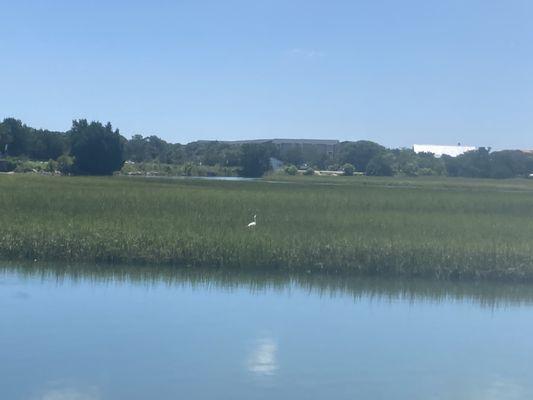 Pawleys Island Creek with Pawleys Kayaks