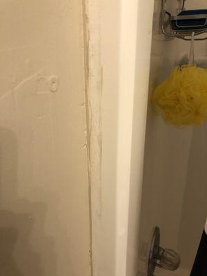 Paint on the shower