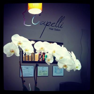 Capelli Hair Salón