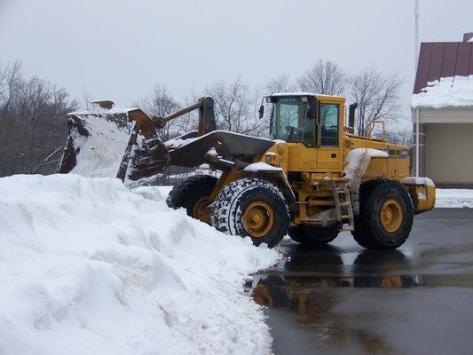 Snow Management - We help you keep your walks and drives clean of snow and Ice.