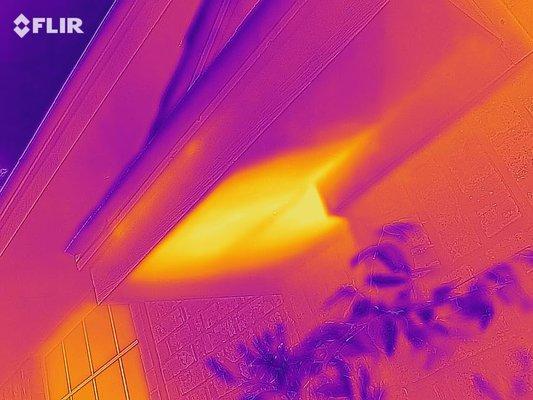 Thermal camera www.BeeRemovalz.com