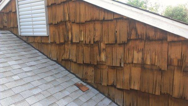 Damaged siding