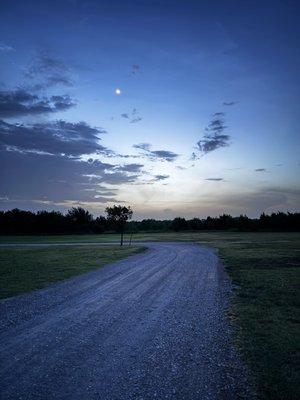 A beautiful path to walk among those resting in peace