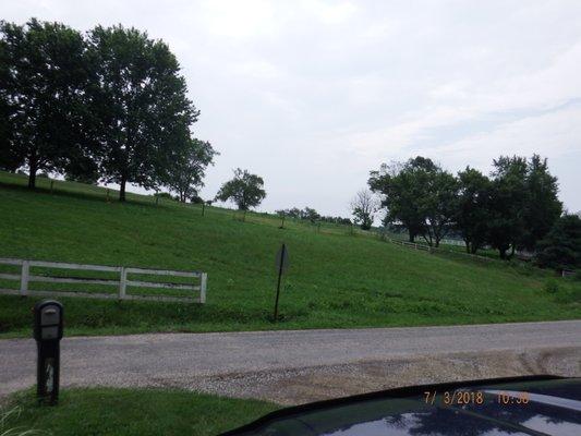 View from sitting area & kitchen window