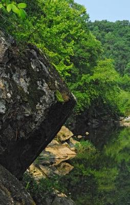 Triangle Land Conservancy