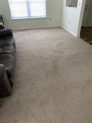 Xtreme Klene Carpet & Upholstery Cleaning