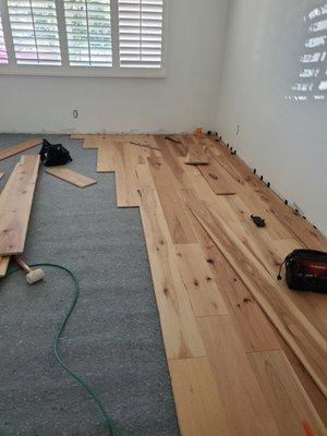 Harwood floor in progress.