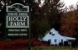 Spring Creek Holly Farm