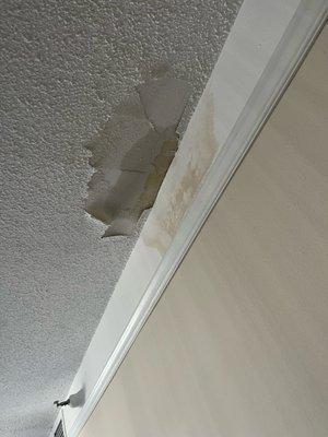 Water Damage