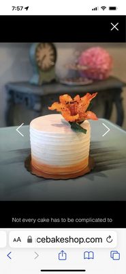 This was the example of the ombre cake I was looking for.