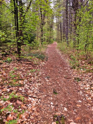 Hiking/Skiing Trail