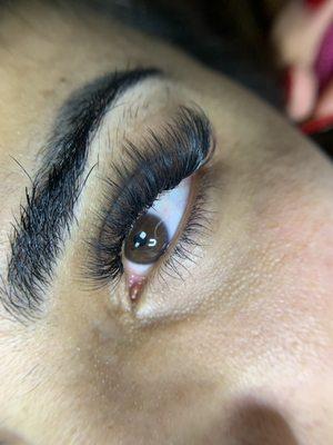 Nikki Dang - Lashes and Brows