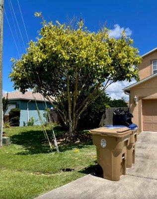 Hurricane Landscaping & Tree Trimming