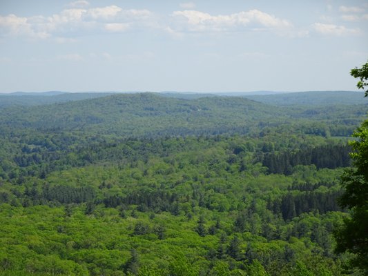 Mohawk Tower View