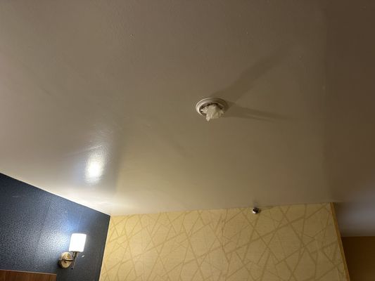 Where the smoke detector is supposed to be.