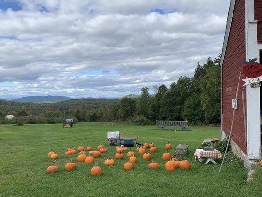 Douglas Hill Orchard