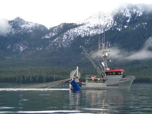 Adamant - Commercial fishing boat build by Platypus Marine, Inc.