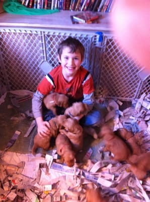 Dr. Stewart's son with a lap full of puppies.