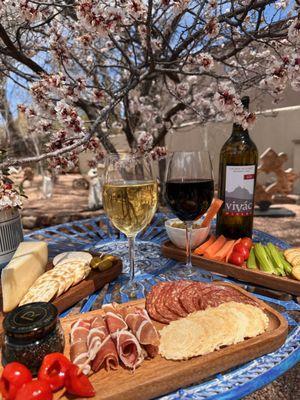 Springtime under the blooming apricot trees in the garden!