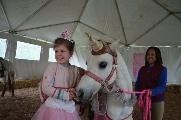 Pony Paradise Rides