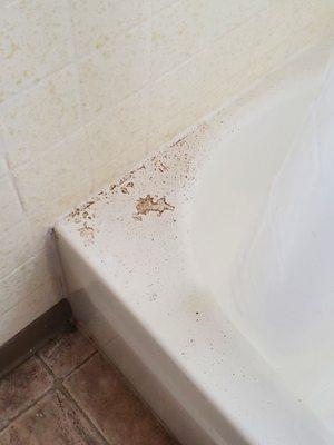 Dirt from husband pressing on wall to kill roach