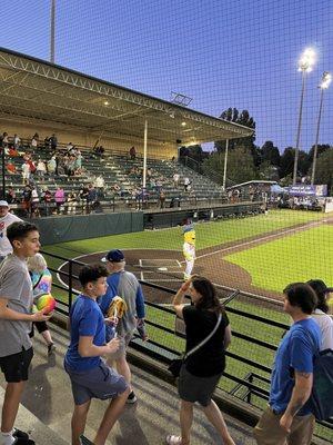 Fish Stick mascot at home plate