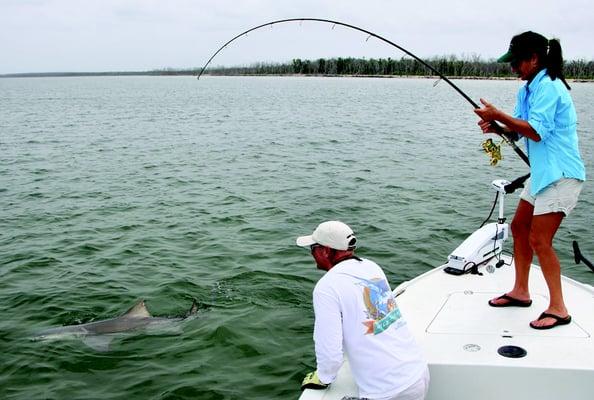 Gail Hooked up to a Big Lemmon Shark in the Everglades