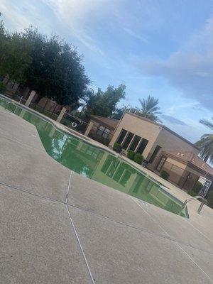 The pools are green from lack of cleaning.