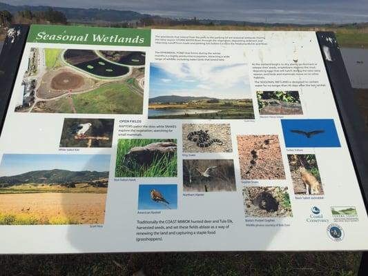 Information on the various animals here at the creek