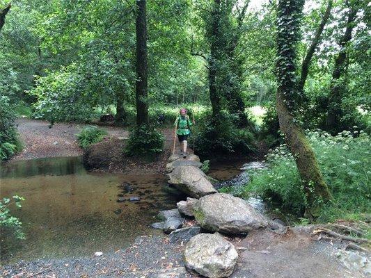 Beauty of the Camino