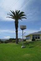 Harbor Lights Cottages