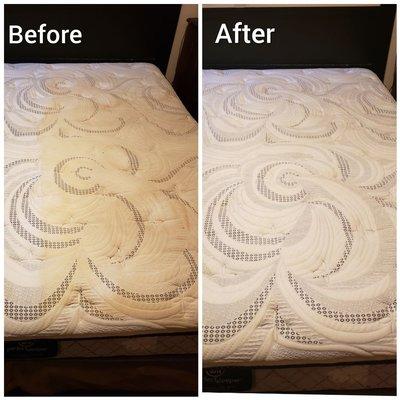 Mattress cleaning