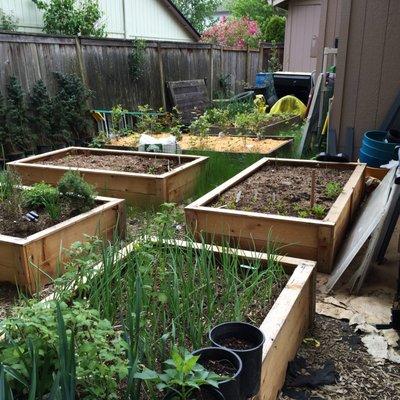 Garden Beds