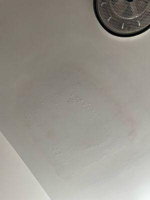 Bathroom ceiling after all the leaking from above