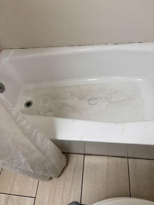 Dirty disgusting bath/shower