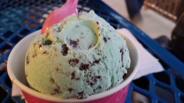 Mint Chocolate chip