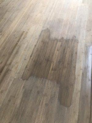 Disastrous floor refinishing experience #troypeters #refinishingsandiego #perry'sfloors