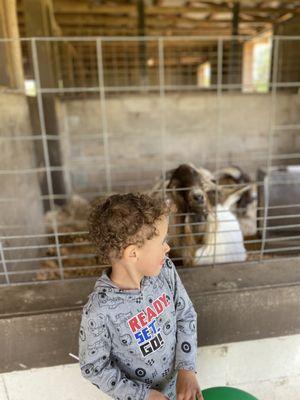 The Market At Rutland Farms