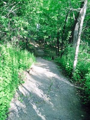 Our favorite trail to explore early in the morning.